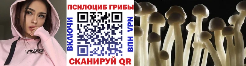 Псилоцибиновые грибы Magic Shrooms Фролово